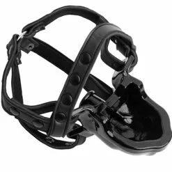 Oxballs Watersport Strap-on Gag - Zwart