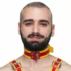 Mister B Leather Circuit Collar Red-yellow