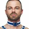 Mister B Leather Circuit Collar Blue-white 2 Mister B Leather Circuit Collar Blue-white -Goedkope KLEDING winkel B604301