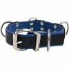 Slavenhalsband Met 4 D-ringen Blauw