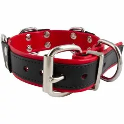 Slavenhalsband Met 4 D-ringen Rood