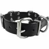 Slavenhalsband Met 4 D-ringen Zwart