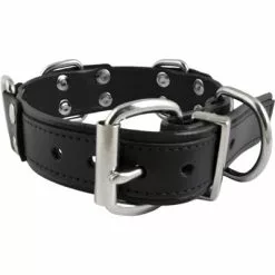 Slavenhalsband Met 4 D-ringen Zwart