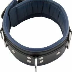 Leren Slavenhalsband Blauw Gevoerd