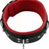 Leren Slavenhalsband Rood Gevoerd