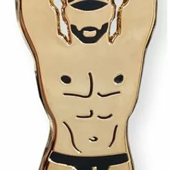 Meester Des Huizes Pin Dominus