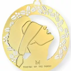 Meester Des Huizes Kerstmis Stout En Aardig