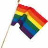 Gay Pride Rainbow Flag On Stick Small