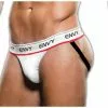 Envy - Logo Elastic Lowrise Mesh Jock Wit M/l -Goedkope KLEDING winkel E31066