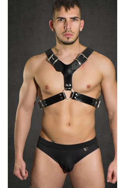 Dale Mas Pitbull Tuig 3 Dale Mas Pitbull Tuig