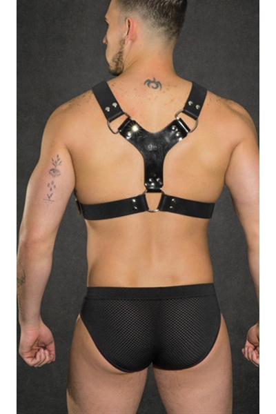 Dale Mas Pitbull Tuig 4 Dale Mas Pitbull Tuig - Afbeelding 2