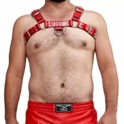 Mister B Leren Borsttuig Zadelleer