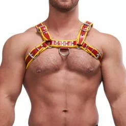 Mister B Leren Circuit Harness